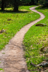 Fototapeta na wymiar Winding Dirt Path Through Green Grass, Appalachian Trail