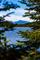 Fototapeta na wymiar Mountain on Horizon Across Lake Through Trees