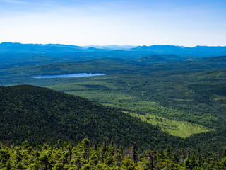 Mountain Summit Vista, Dense Forest, Mahoosuc Range, Maine