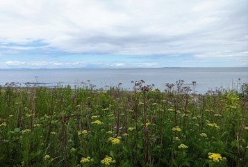 Fototapeta na wymiar Blue sky on the horizon with the Birch Bay shoreline under clouds on a summer day