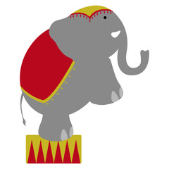 Isolated circus elephant