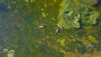 Obraz premium AERIAL: Flying above a group of tourists stuck in green swamp with their canoes.