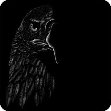 The Vector logo eagle for T-shirt design or outwear.  Hunting style eagle background.