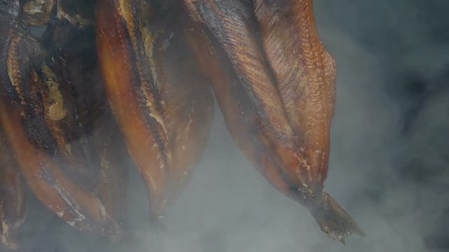 Smoking Kippers Moving Shot