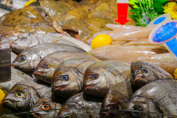 Fish on sale in a French market