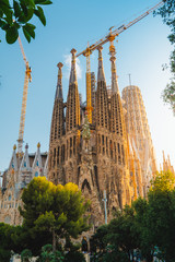 La Sagrada Familia in summer