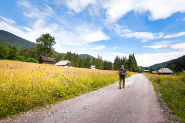 Hiker with backpack walking along dirt road to a forest