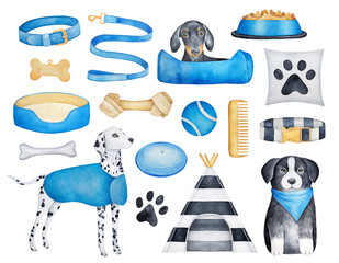 Collection of different dog breeds (dachshund, dalmatian, border collie) and doggy objects. Must have things what to buy for new puppy. Hand painted water color drawings, cut out clip art elements.