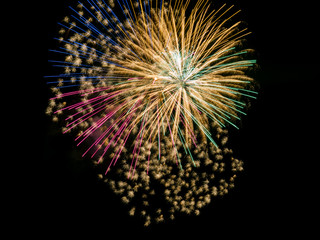 Firework Bursts in Night Sky