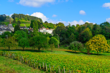 Fototapeta na wymiar Countryside in Cote dOr, Burgundy