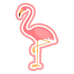 Pink Flamingo with outline, isolated vector illustration