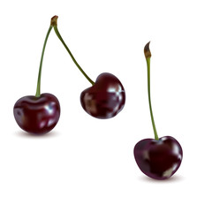 A juicy cherry is realistic