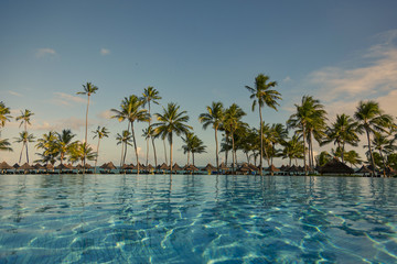 Fototapeta na wymiar Pool with palm trees near the ocean during a beautiful sunset.