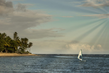 Windsurfing sail by the sea at sunset with palm trees in the background in Praia do forte, Bahia,...