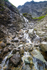 Brook in Tatra Mountains