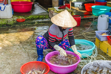 Woman with the rice hat selling living prawns  at the market of Cai Be