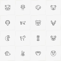 Animals line icon set with lion, bear and hedgehog