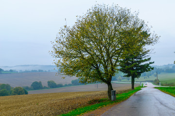 Countryside in Nievre