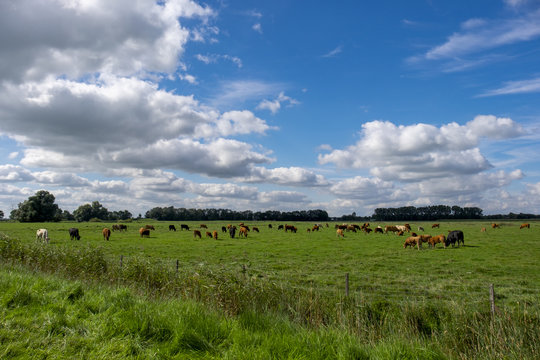 Landschaft iim Emsland