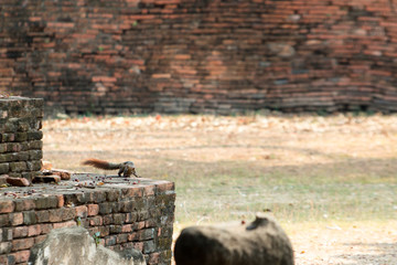 temple bouddhiste de thailande
