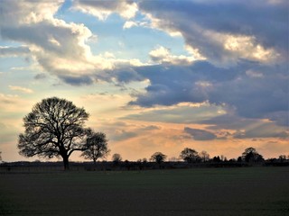Fototapeta na wymiar Moody sky with clouds at sunset over fields and a silhouetted tree near York, England