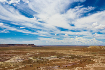 Fototapeta na wymiar Petrified Forest landscape with clouds