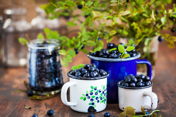 Fresh ripe bluberries (bilberries) in enamel mugs