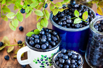 Fresh ripe bluberries (bilberries) in enamel mugs