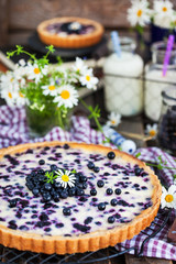 Fresh homemade creamy blueberry tart (open pie) on rustic background