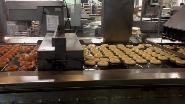 Behold the beauty of donuts being made. Pan of conveyor belt showing donuts going from dough to glazed.