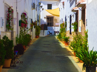 Fototapeta na wymiar Costa del Sol. Benalmadena, pueblo de Malaga en Andalucia,España