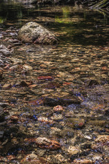 Valley, water and stones scenery  