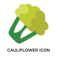 cauliflower icons isolated on white background. Modern and editable cauliflower icon. Simple icon vector illustration.