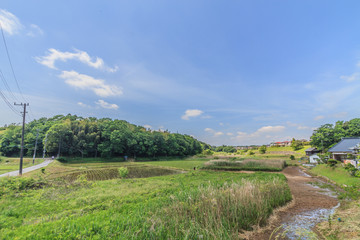 	春の四街道の田園風景