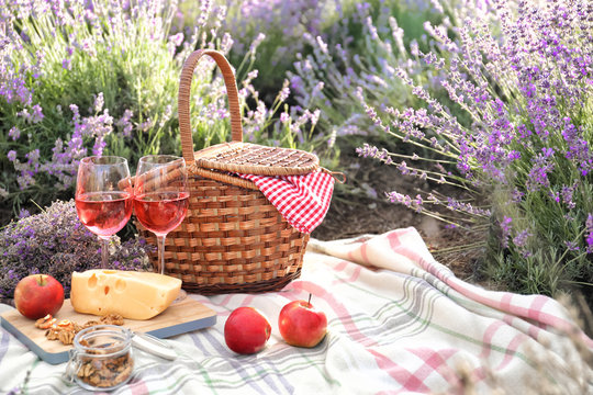 Fototapeta Set for picnic on blanket in lavender field