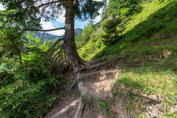 Kaiserbachtal Weg zum Stripsenjochhaus