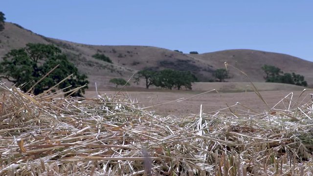 pan with a row of hay in the foreground and rolling hills in the background