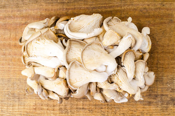 Oyster mushrooms on wooden table