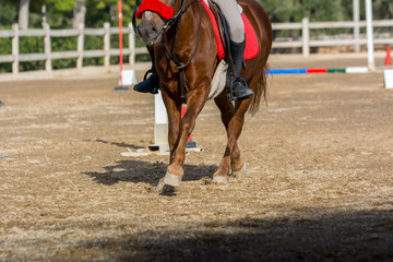 Man Riding a Horse in a Riding School during a Competition on Blur Background