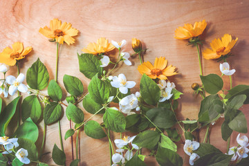 spring and summer flowers on a wooden board. flowers background. toned.