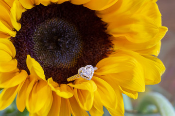 Heart shaped engagement ring in sunflower