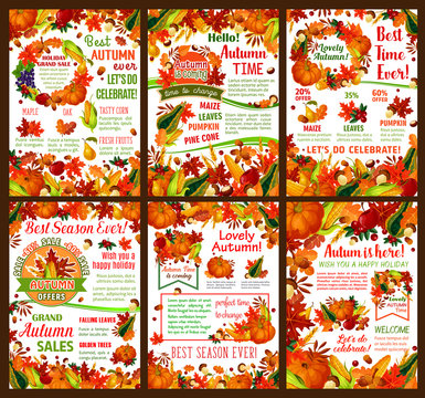 Autumn harvest sale offer banner template set