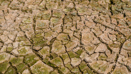 Dried cracked earth soil ground texture background.Crack soil on dry season, Global worming effect.