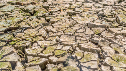 Dried cracked earth soil ground texture background.Crack soil on dry season, Global worming effect.
