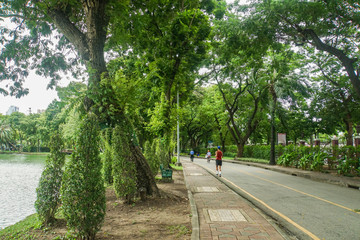 Fototapeta premium people do jogging and walking for exercise at green park in city
