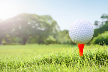 Golf wide green lawn.