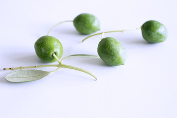 Fresh green olives isolated on white background close up.Blurred background.