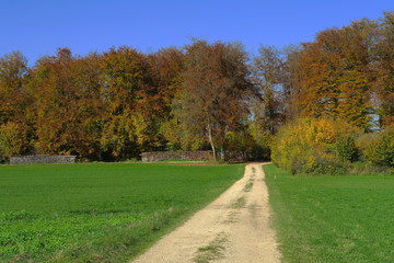 Herbst auf der Schwaebischan Alb