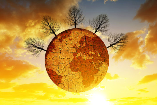 Dry planet with cracked soil and barren trees,at the background sunset sky. Global warming concept.