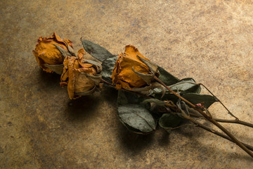 floral arrangement with dried flowers